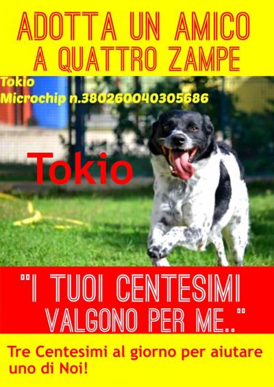 cane tokio