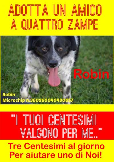 cane robin