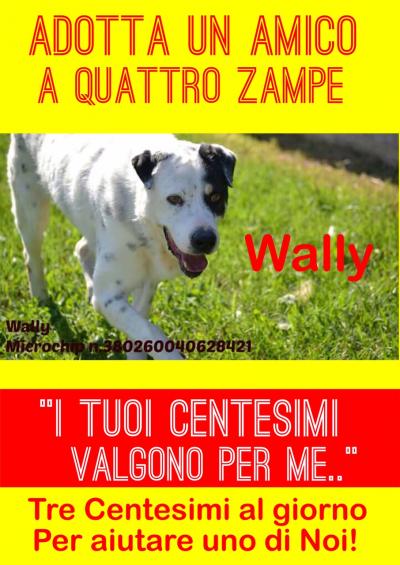 cane wally