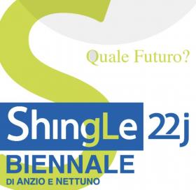 Shingle22-a