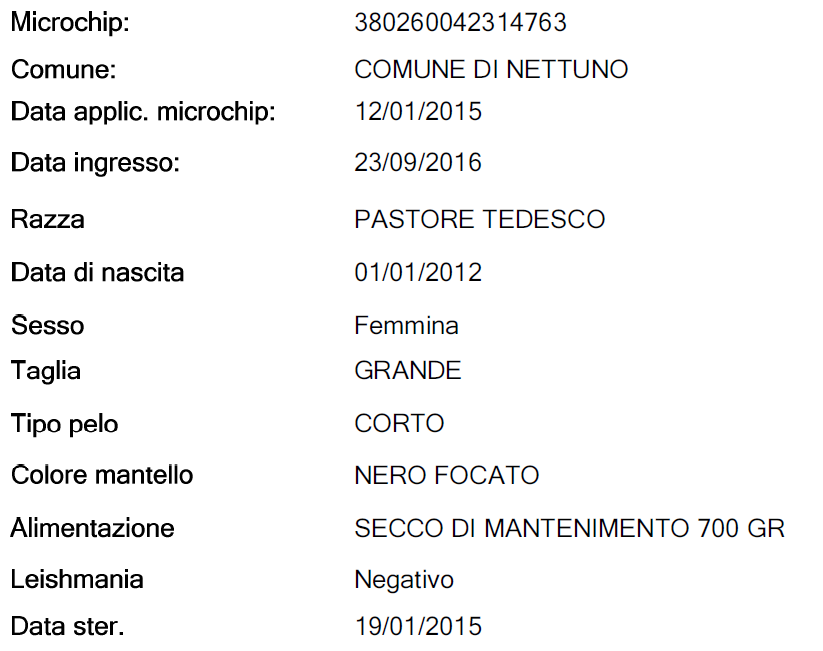 DESCRIZIONE