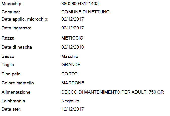 Bacco