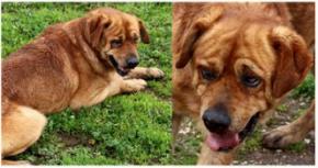 Bacco - 380260043121405