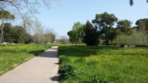Parco Palatucci