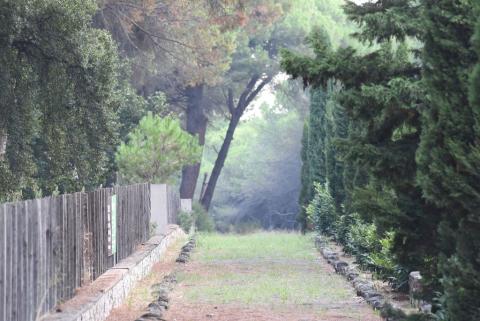 Strada Romana