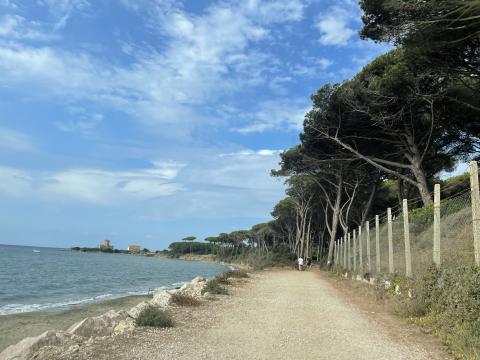 L'accesso a Torre Astura