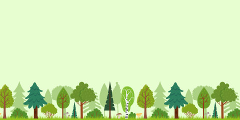 Alberi