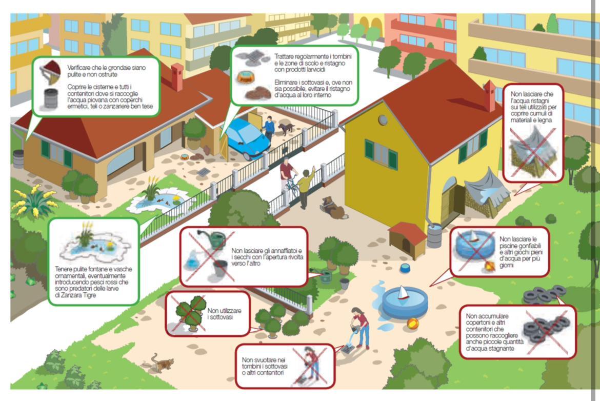 West nile, ecco come fare prevenzione in casa